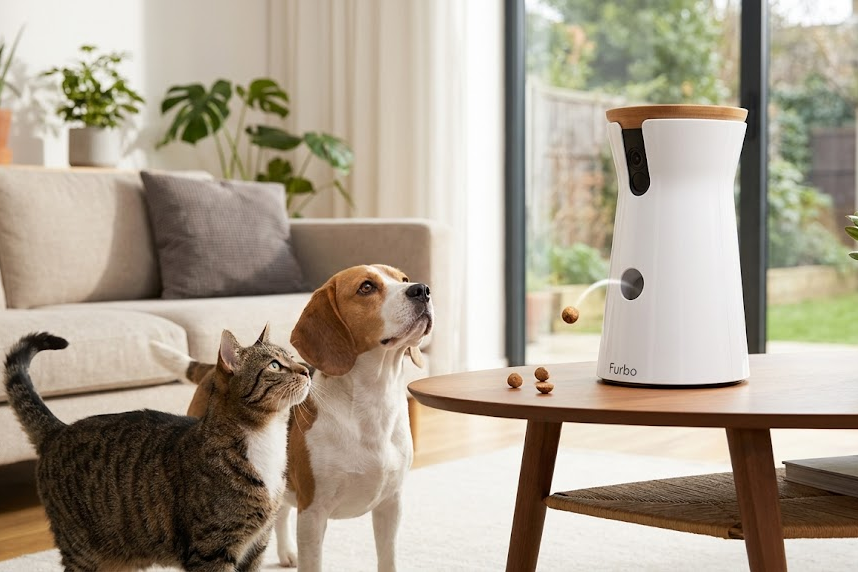 Cámaras inteligentes para mascotas