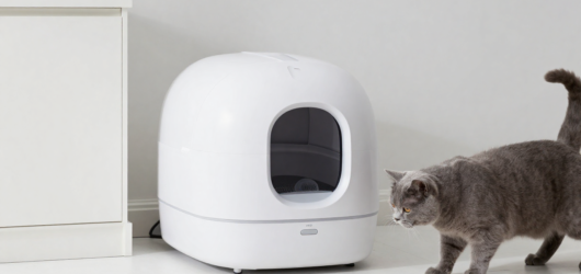 Smart automatic litter boxes: a complete guide and the best models for 2026