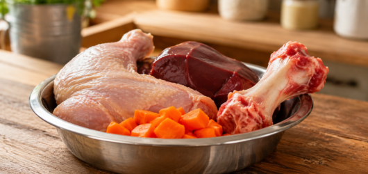 BARF diet for dogs and cats: what it is, benefits and how to get started in 2026